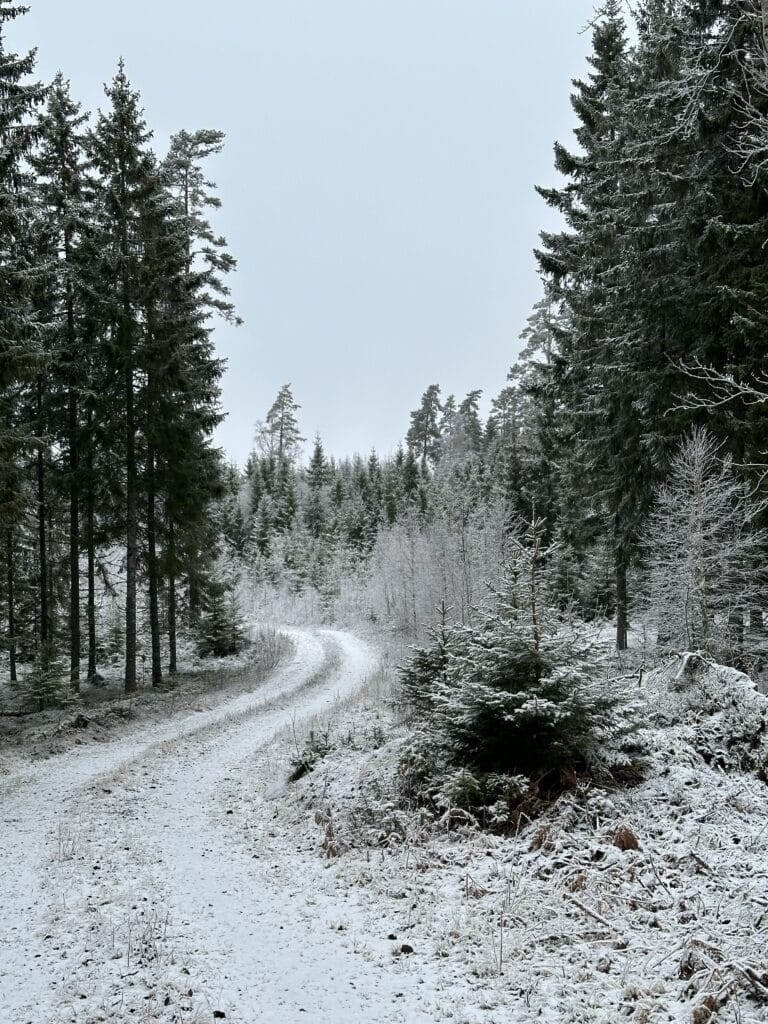 Snowy Reoad