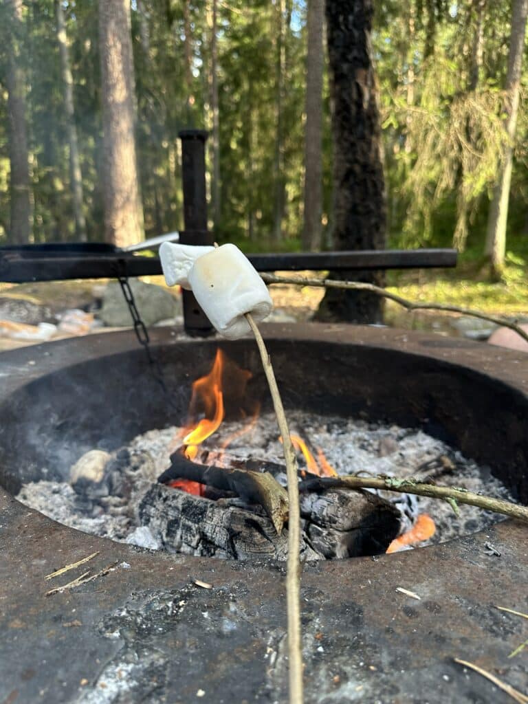 Marshmallow