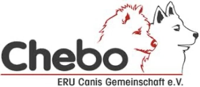Chebo