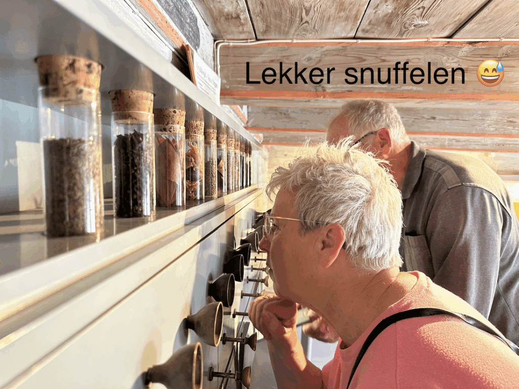 Ruiken