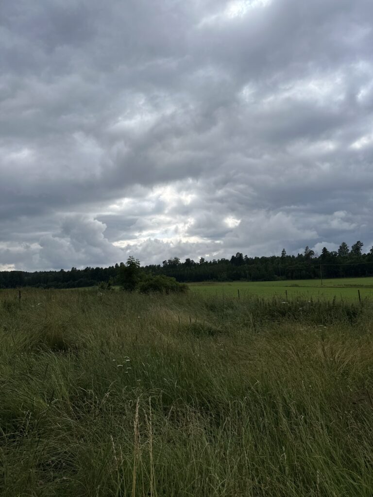 Img 7119