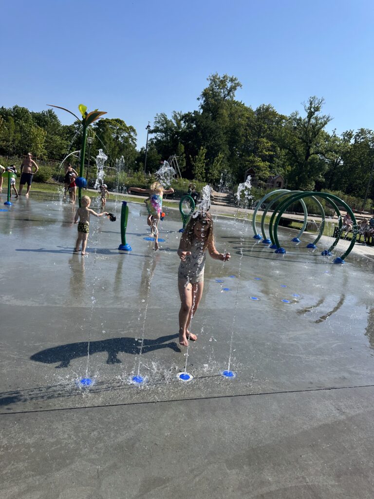 Img 7183
