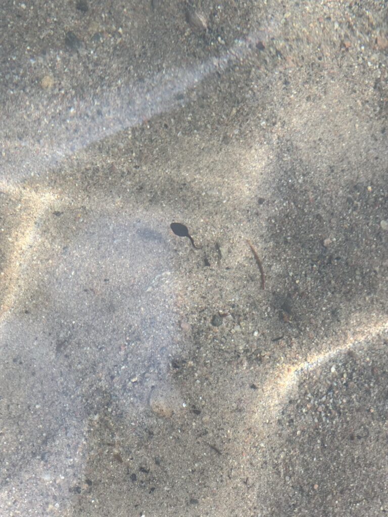 Img 7379