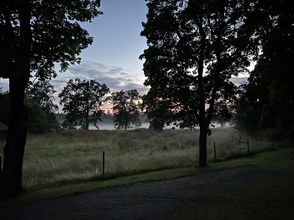 Img 7427