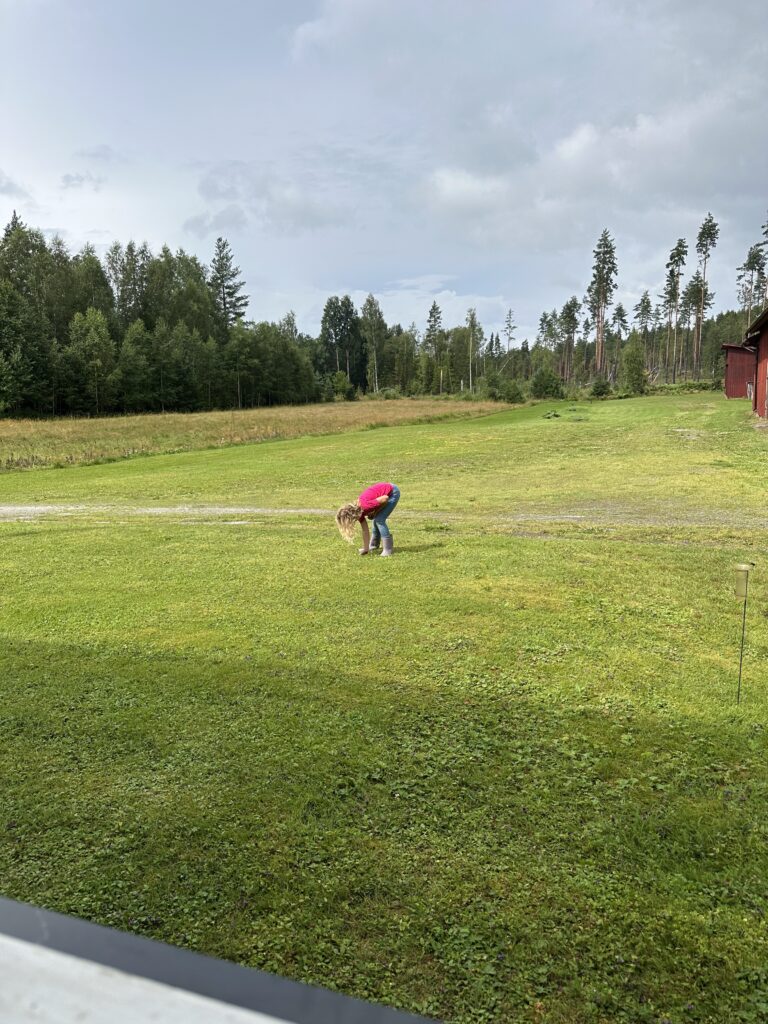 Img 7514