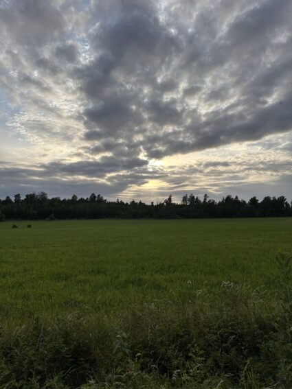 Img 7678