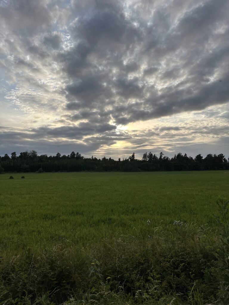 Img 7678