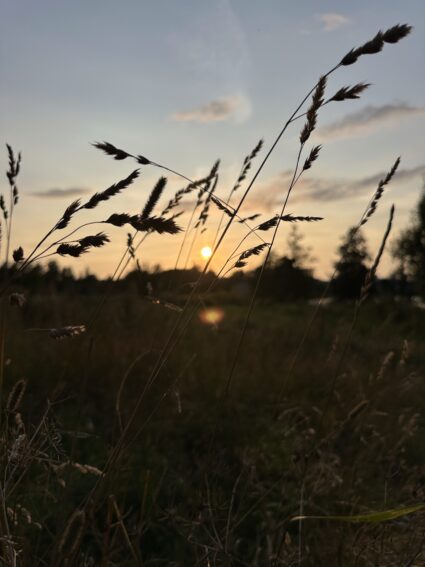 Img 7690