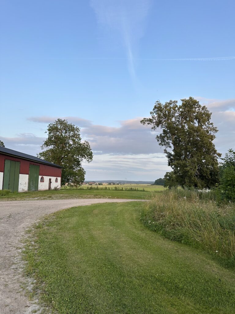 Img 7696