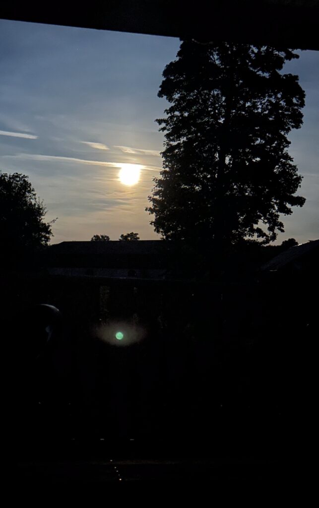 Img 7702