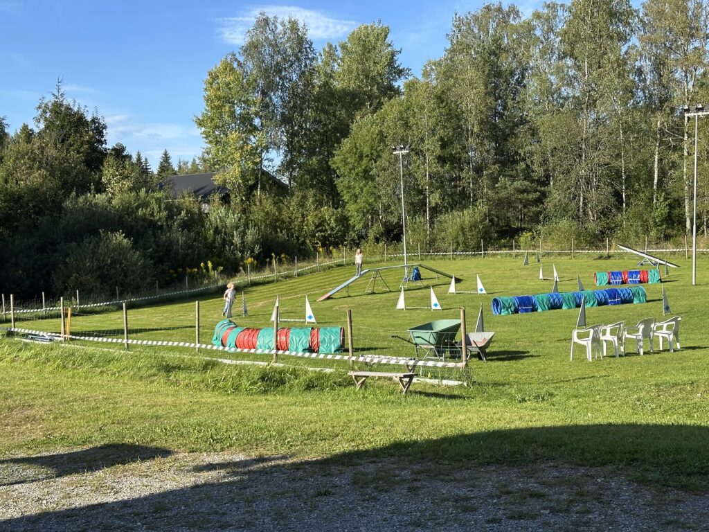 Img 7782