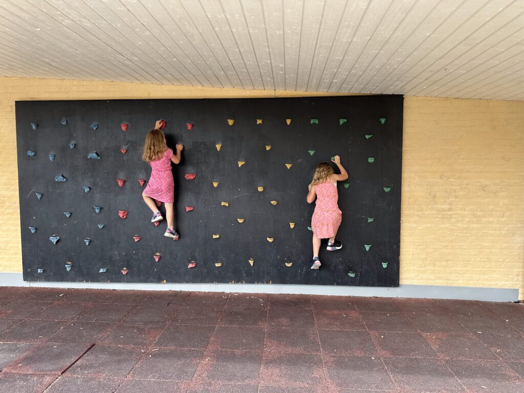 Img 7791
