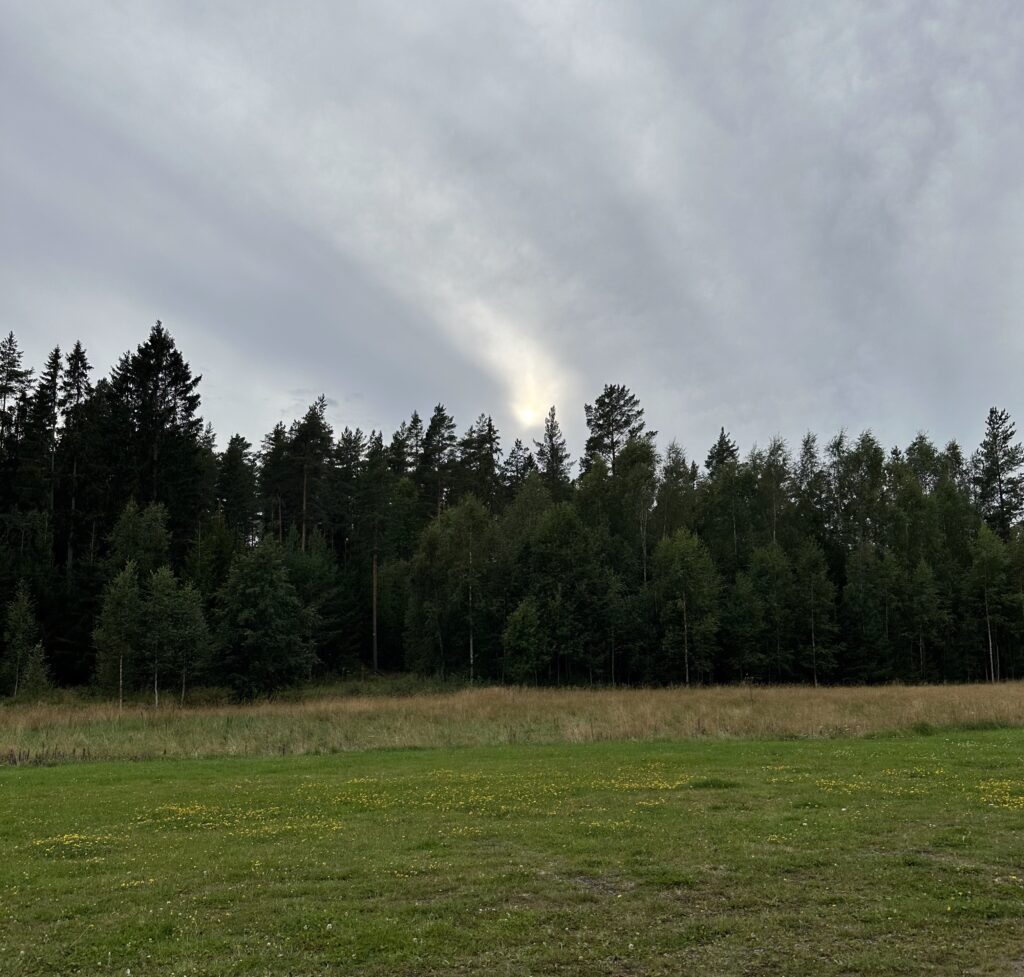 Img 7807