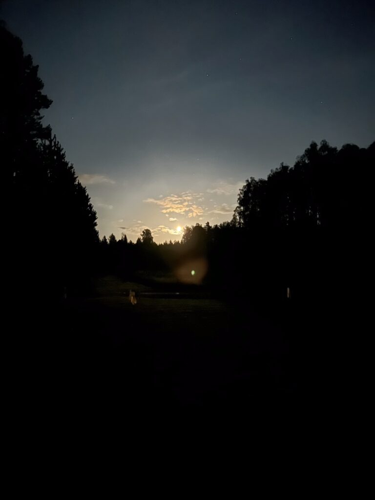Img 8404