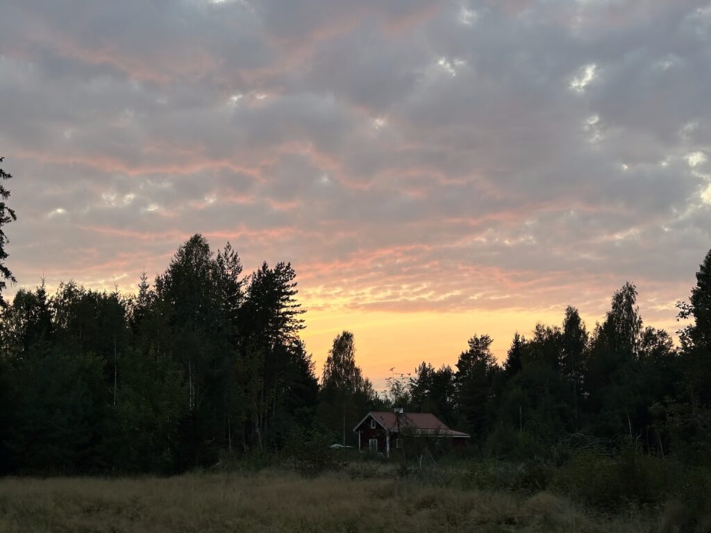 Img 8564 2