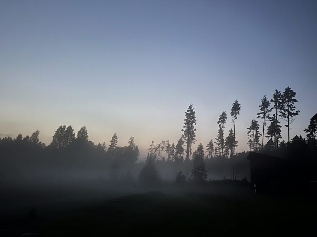 Img 8570 2