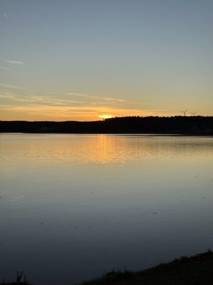 Img 8971