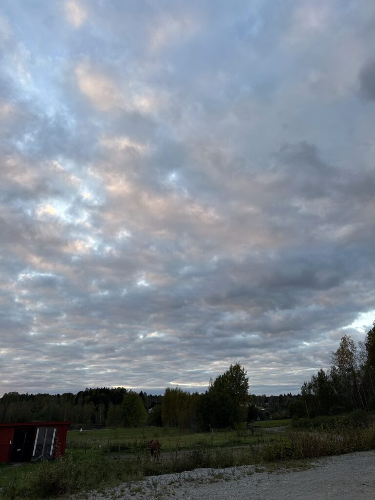 Img 9053