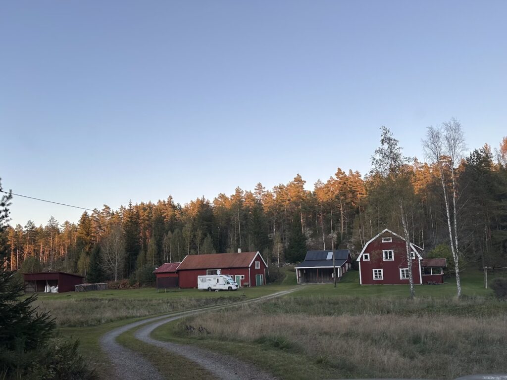 Img 9071