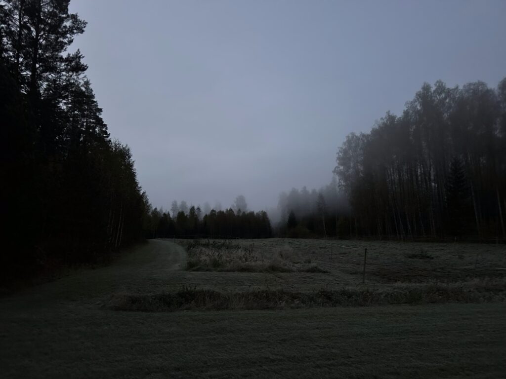 Img 9078