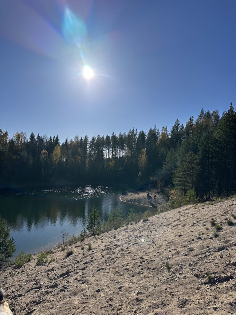 Img 9370