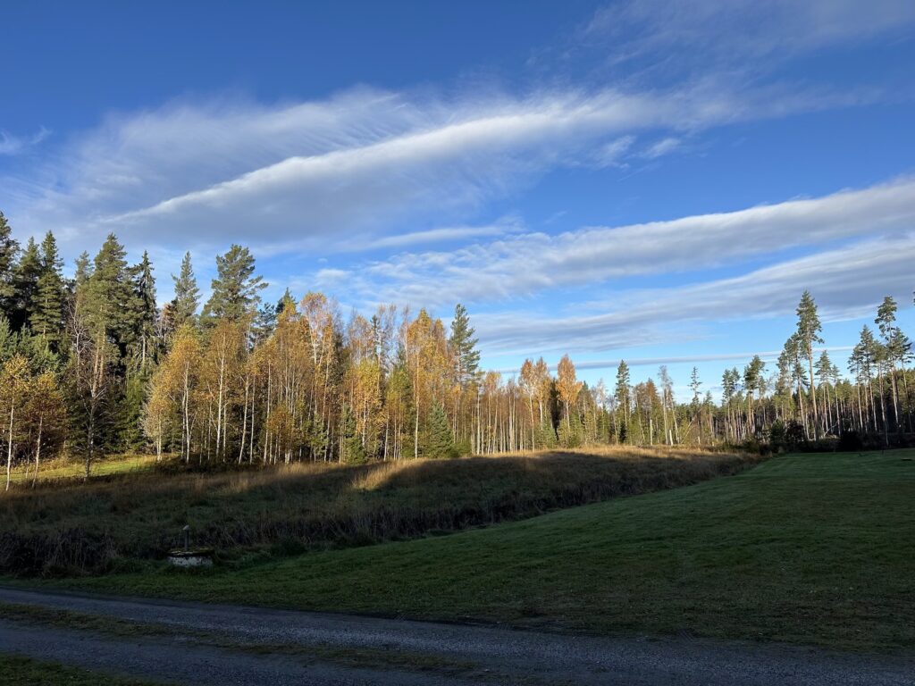 Img 9467