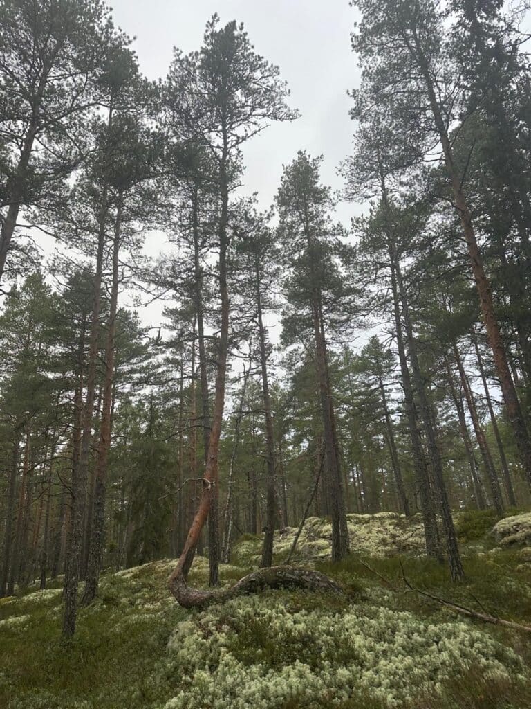 276f577f 16b6 4367 8a3d C7919fc8d48a 2