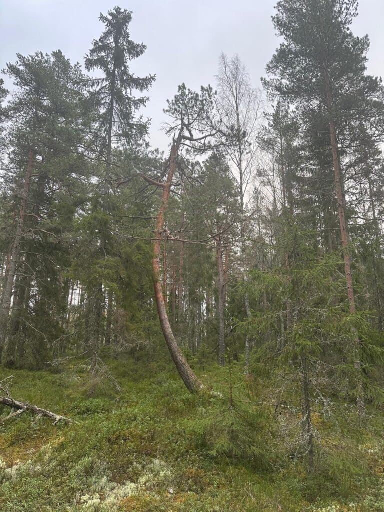 De5da78c 50fb 4f79 8308 48cc716bbebe 2