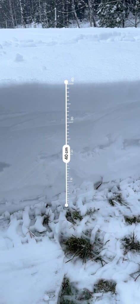 09028a54 57d2 4395 802f 1ae5ba299a7b