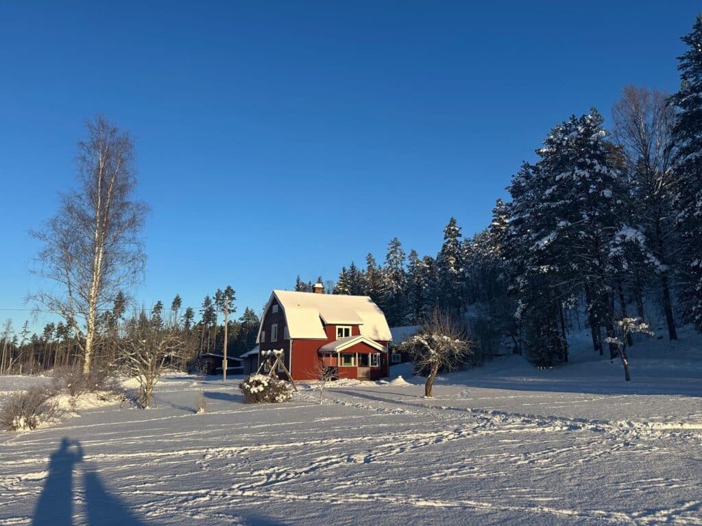 810a77a2 89fe 457f 8e96 Bf5d06827c05