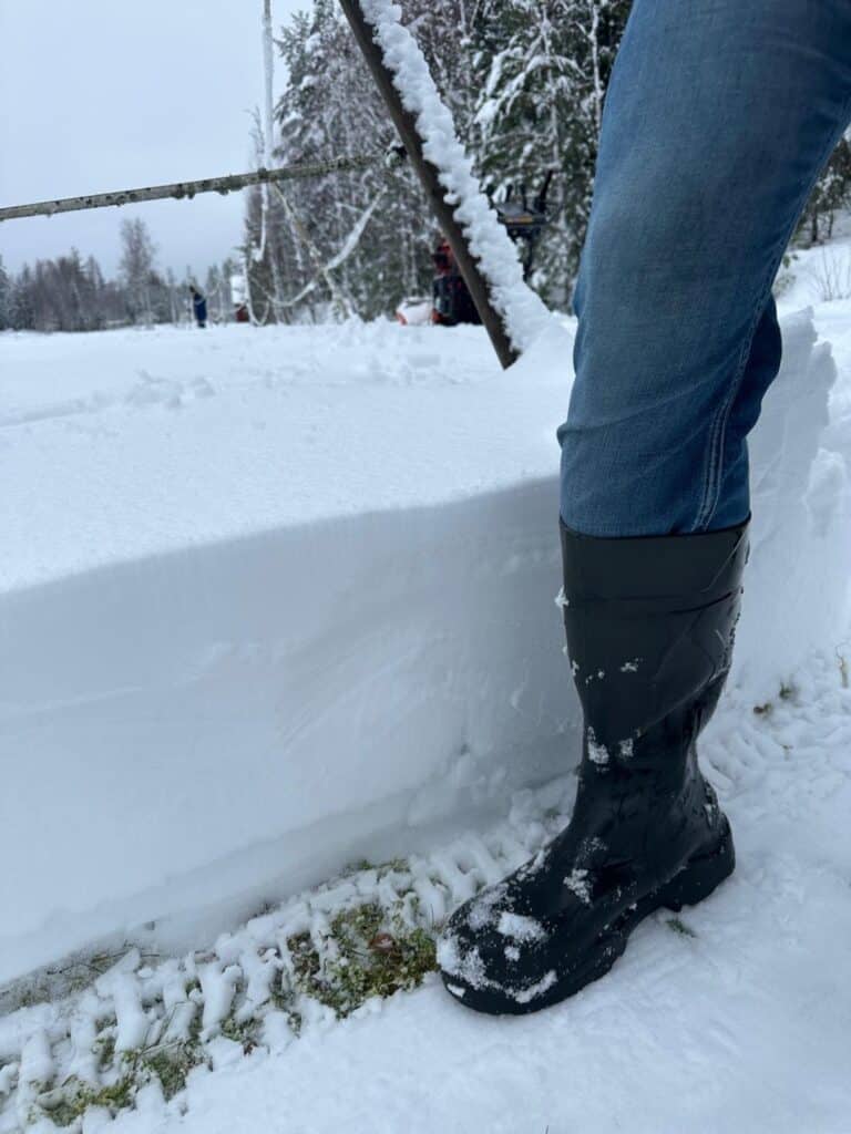 8193f6eb 90b7 4587 8749 8128146cbc94