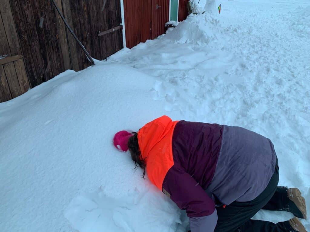 F7b38c5a 1768 4b4a 8b97 D4a3c4c7722a