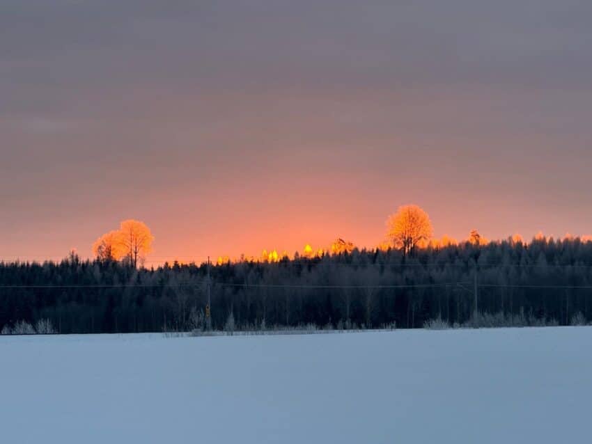 33667f19 973a 4ab1 8b38 3ed6dfbbfaa3