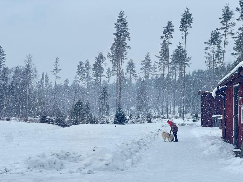 E920d0db 95c2 49b5 A152 328a1438bb39