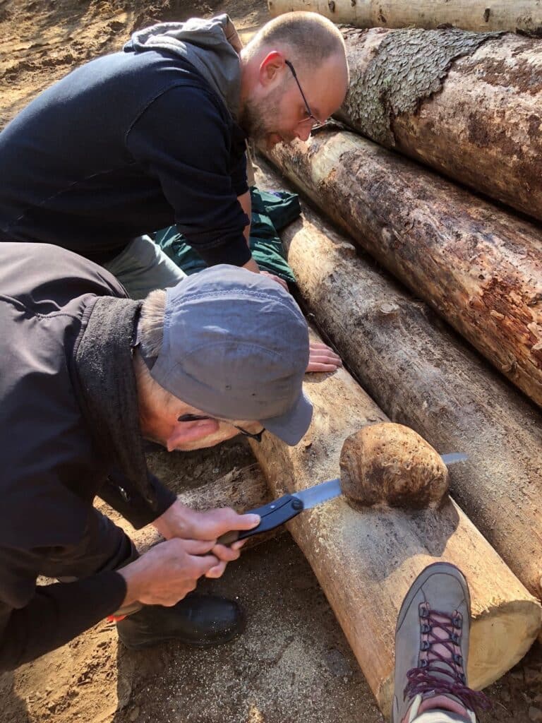 5b02c42d 490a 4081 97cc 0a50be6a1ffa