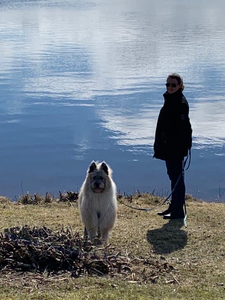 E0f514af 26b8 43d9 8416 269eeecf98b5