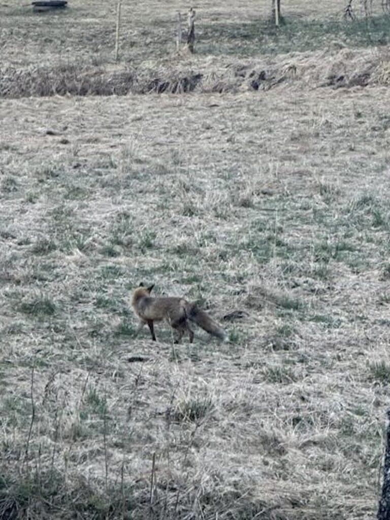 F955f355 Ed1d 4f0d 86a2 E2c972bd4651