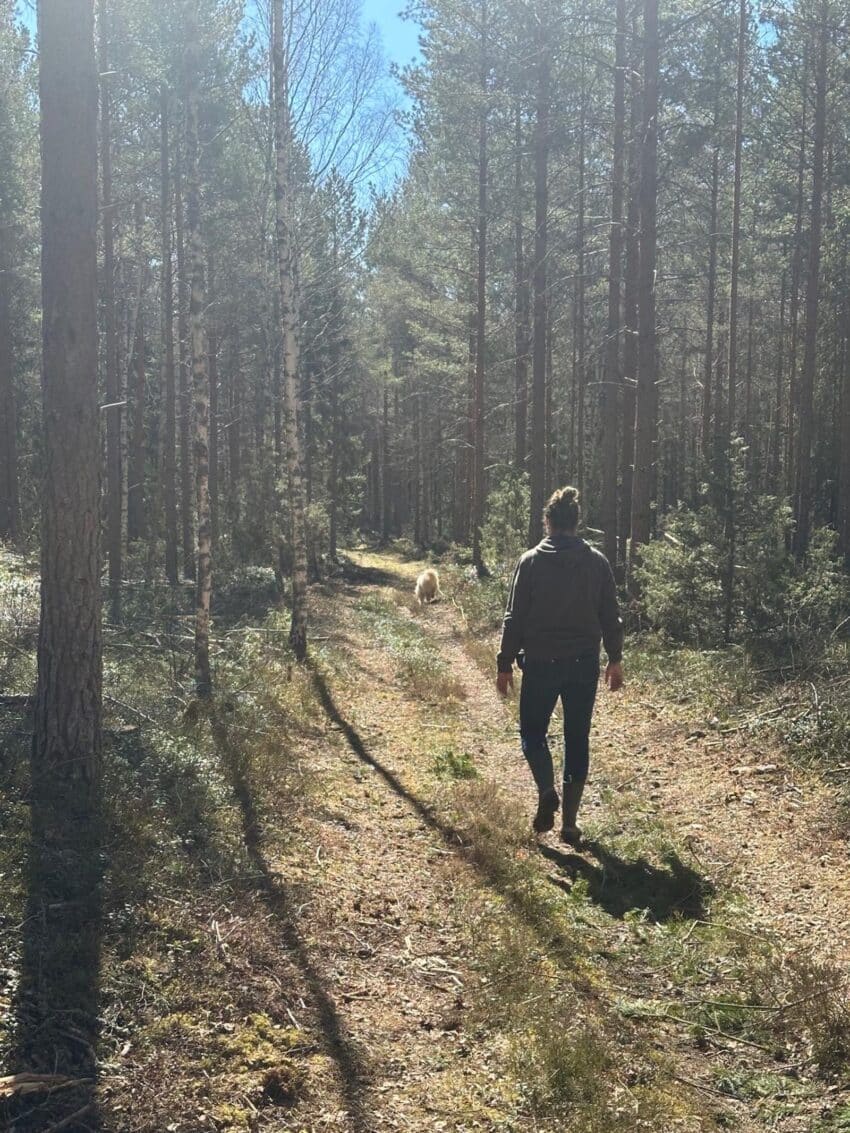 Faecc27d 6959 49c0 Aef1 8411d687b98f