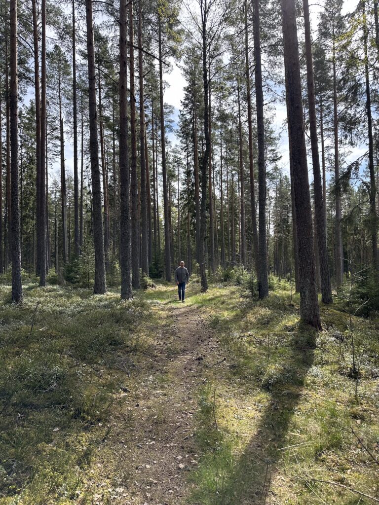 Img 4569