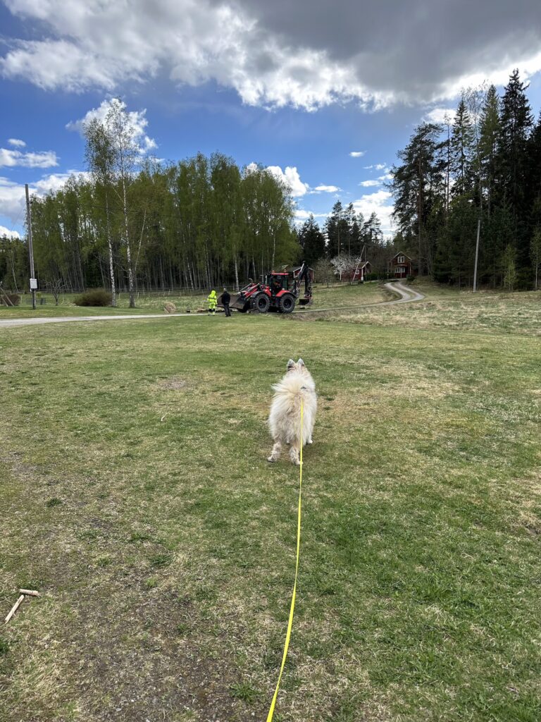 Img 4698