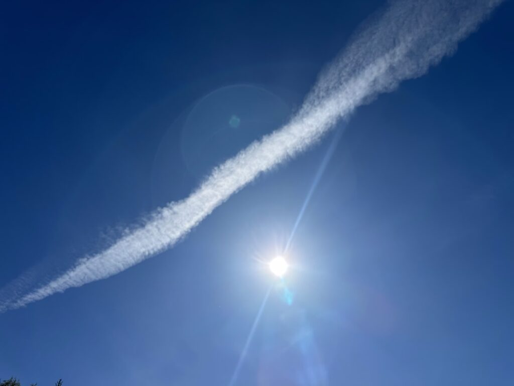 Img 4755