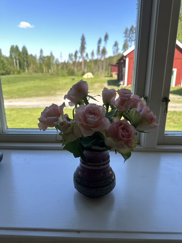 Img 5542