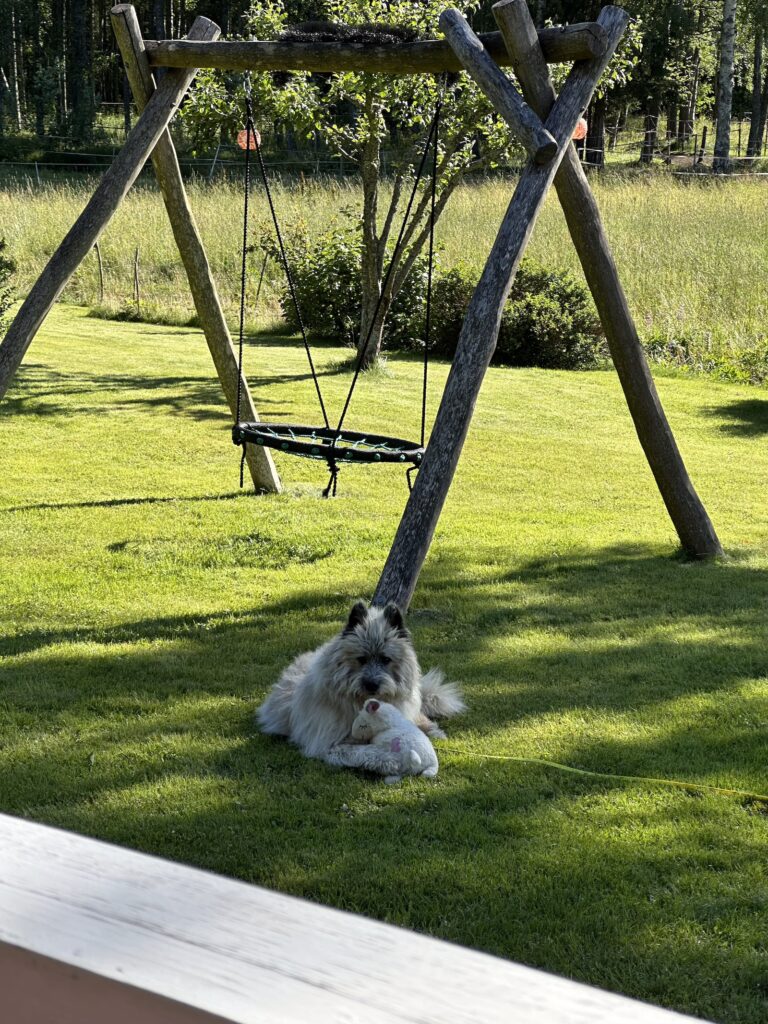 Img 7030 3