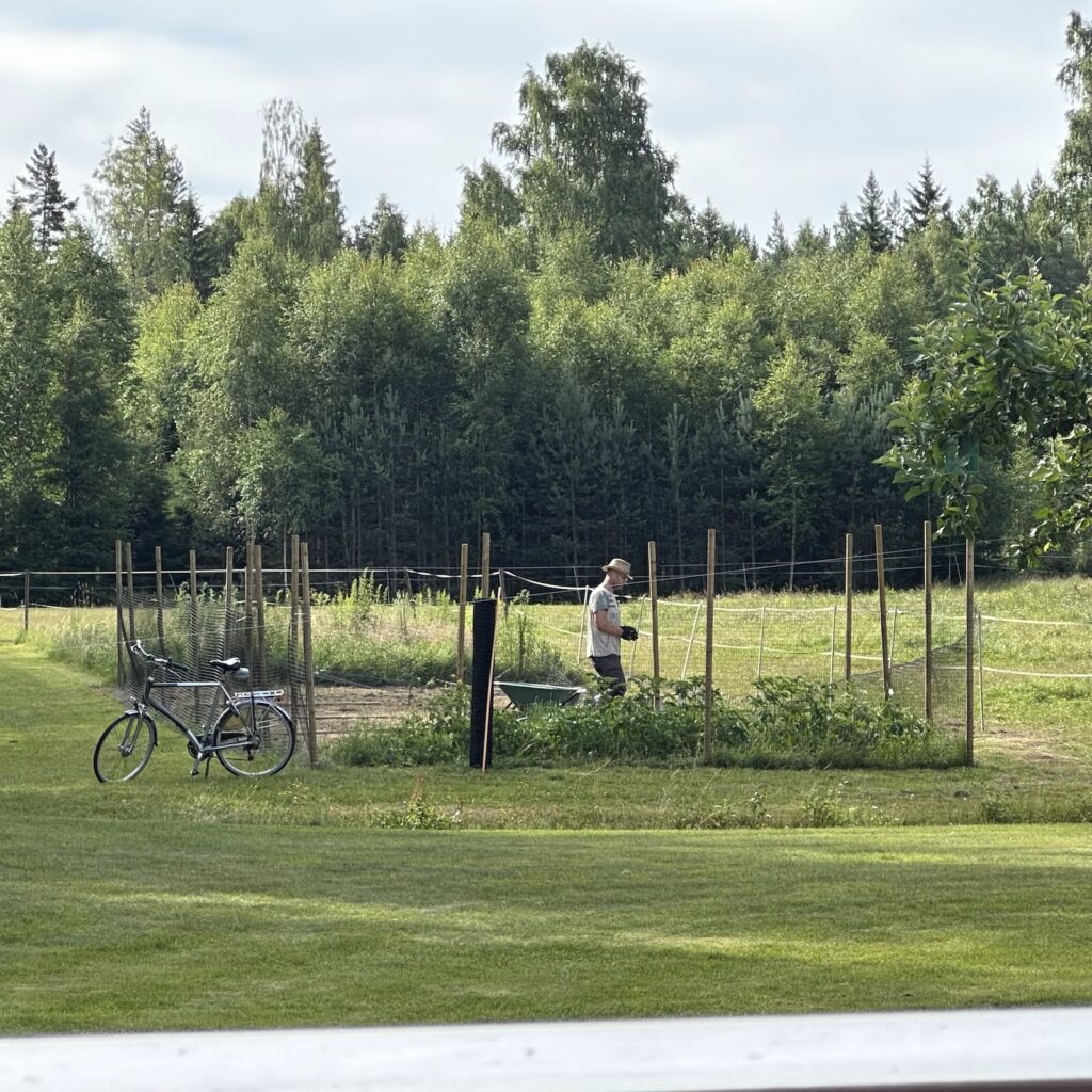 Img 7051