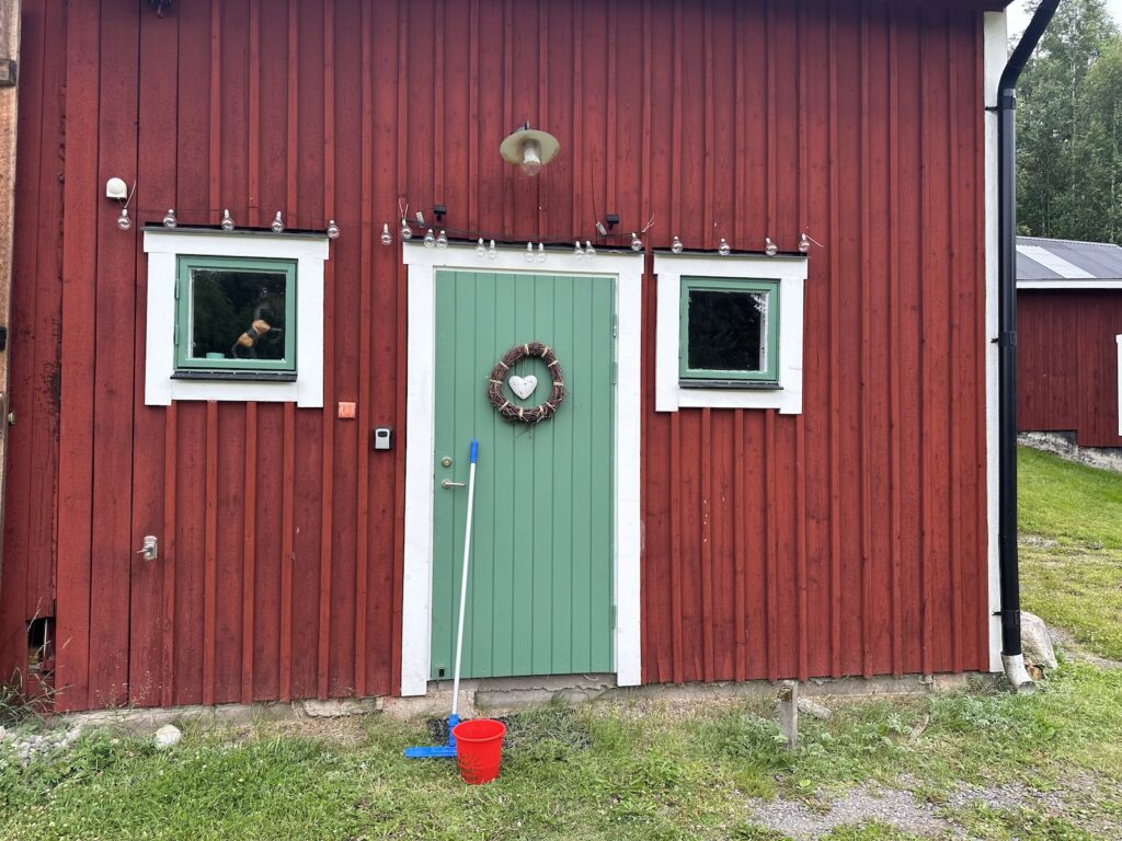 Img 7138