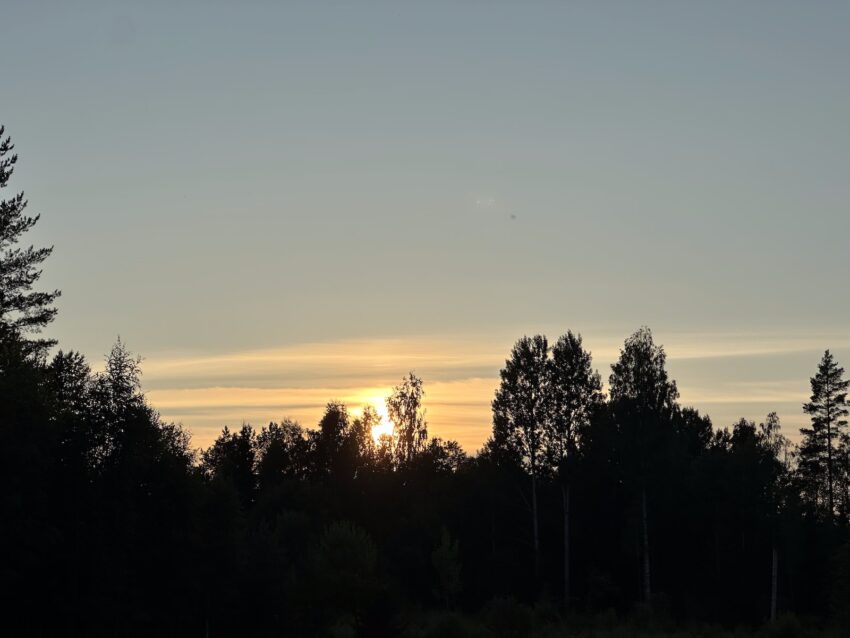 Img 7212 2