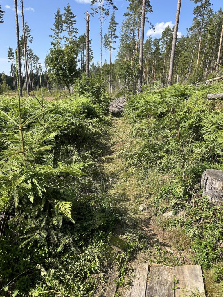 Img 7230 2