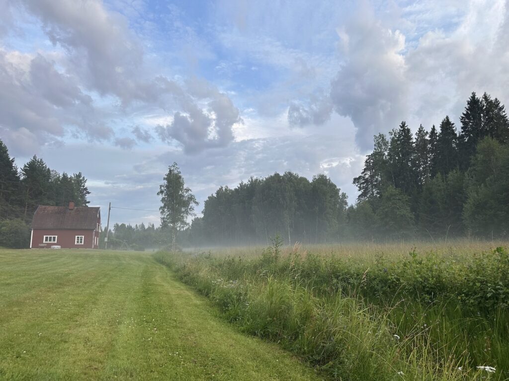 Img 7391