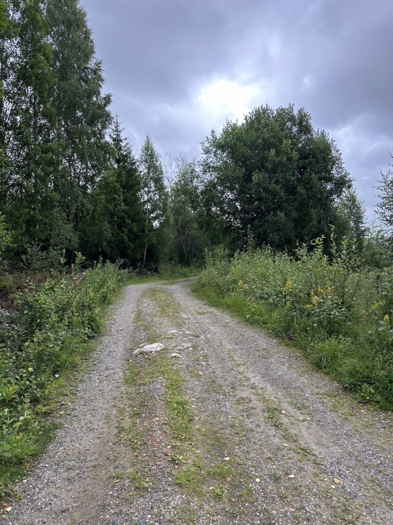 Img 7519