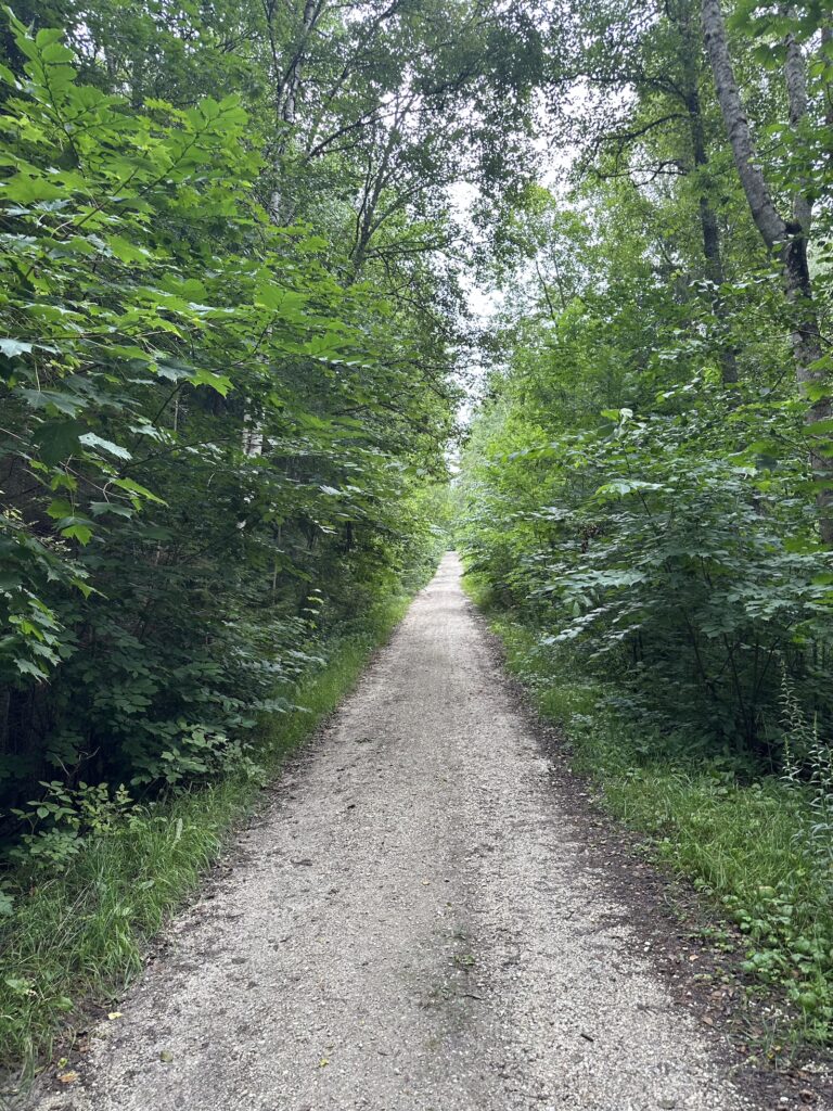 Img 7671